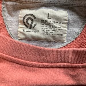 champion sweatshirt! super soft and cute